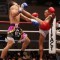 Лучшие нокауты в тайском боксе в 2012 году. Видео, часть 2