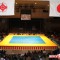 Чемпионат мира киокушин Рэнгокай, обнажил проблемы организации