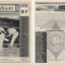 Podium №5 (1995) - пятый выпуск приложения к журналу Сила каратэ