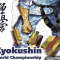 Чемпионат мира Всемирного Союза Киокушин (KWU)  (официально)