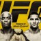 UFC 162: Silva vs Weidman. Расширенное превью