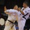 Чемпионат мира KWU по киокусинкай: Битва Гигантов (+95 кг)
