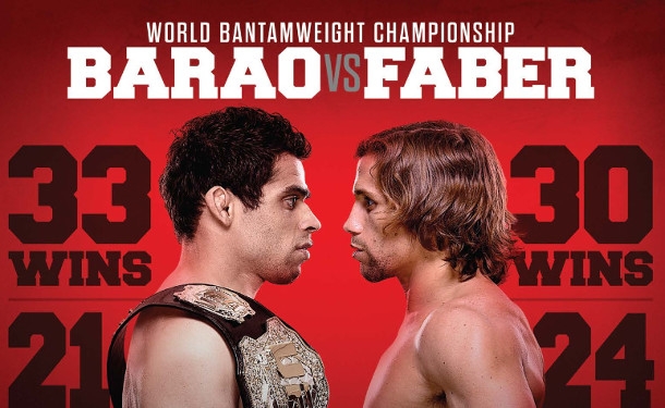 UFC 169 - Barao vs Faber