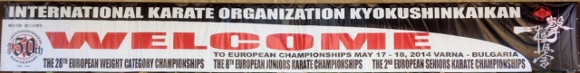 Чемпионат Европы по киокушинкай