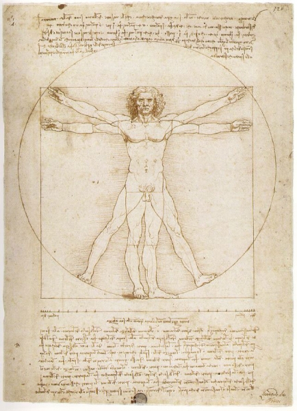 Антропометрия от Леонардо Да Винчи