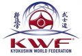 Kyokushin World Federation