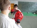 Боксер-нокаутер привлечен к подготовке сборной России по каратэ киокушинкай