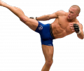 ������ ���-���� �������� UFC 137