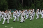 Российская "Летняя Школа Кекусинкай(IFK)" 2013
