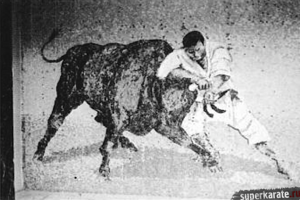Мозаика в Хонбу - Мас Оямы борется с быком