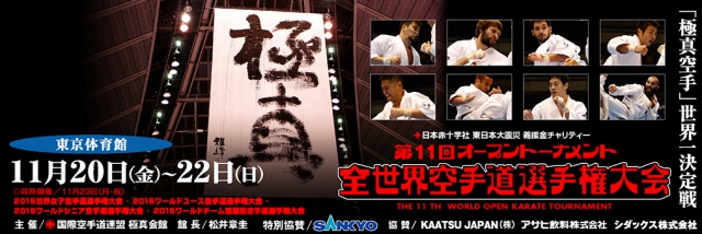 Чемпионат мира по киокушинкай каратэ