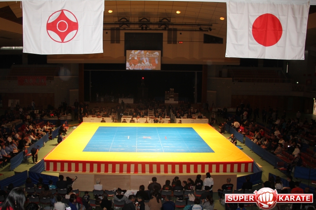 Чемпионат мира киокушин Рэнгокай, обнажил проблемы организации