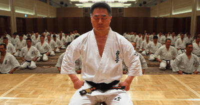 Стратегия нанесения ударов руками и ногами в киокусинкай от Шокея Мацуи