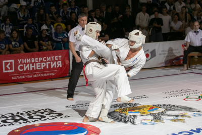 Отчётные документы соревнований по киокусинкай, прошедших в рамках XIV открытых Всероссийских юношеских Игр Боевых искусств.