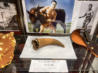 Продажа «Свирепого бычьего рога» и других артефактов с боя Масутацу Оямы с быком