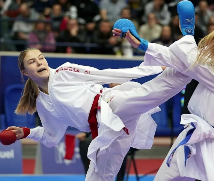 Россиян допустили к участию на чемпионате мира по каратэ WKF