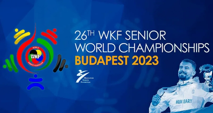 Россиянин Гаспарян будет биться против украинца Чоботаря за бронзу чемпионата мира по каратэ WKF