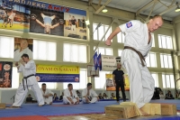 XX открытый чемпионат и первенство Амурской области по каратэ киокушинкай