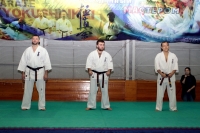 Хитоши Кияма и Тариел Николеишвили провели мастер-классы