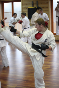 Спарринговая тренировка бойцов каратэ шинкиокушинкай