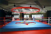 В академии предусмотренны залы для проведения соревнований по Ичигеки