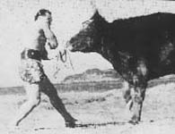 Читайте нашу статью "Все известные бои Мас Оямы с быками.'
