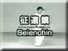 Seienchin 