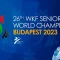 Россиянин Гаспарян будет биться против украинца Чоботаря за бронзу чемпионата мира по каратэ WKF