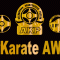 Победители SuperKarate AWARDS 2009