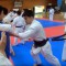 Подготовка сборной Японии по киокушинкай 2019. Видео