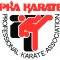 История кикбоксинга. PKA - Professional Karate Association