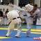 Фотоотчет с «Турнира по Синкёкусинкай каратэ памяти Андрея Матерова»