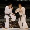 Бой за 3-е место на 48-м Абсолютном Чемпионате Японии по киокушинкай (IKO)