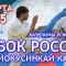 Кубок России 2015 по киокушинкай ОНЛАЙН