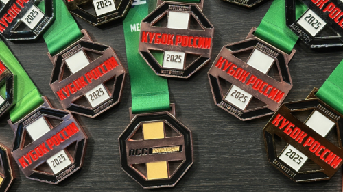 Результаты Кубка России в абсолютной весовой категории и тамэшивари