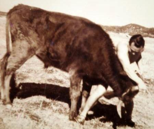 Боев с Мас Оямы с быками могло бы быть больше