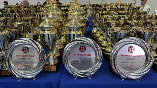 Результаты Чемпионата и Первенства России по киокушинкай