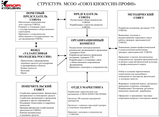 Структура организации Киокушин профи