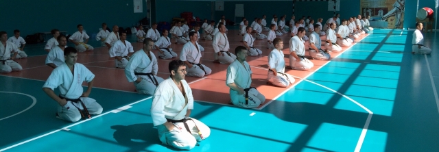 Шинкиокушин