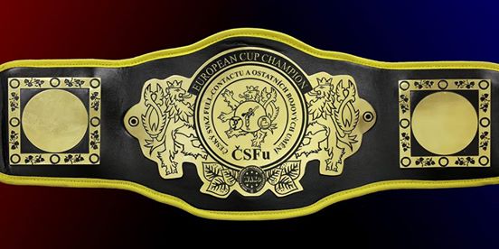 Чемпионский пояс