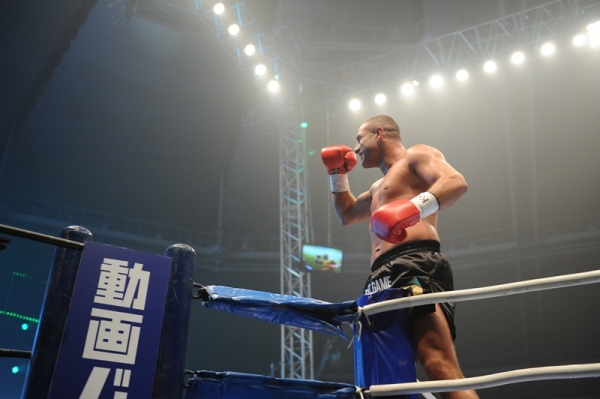 Gokhan Saki vs. Freddy Kemayo