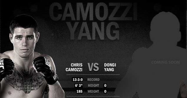 Крис Камоцци - Донг Янг