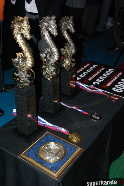 Международный турнир "Нижегородский Дракон 2010"