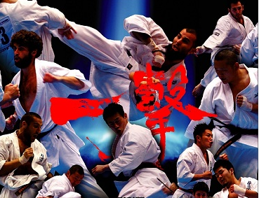 Пули 5-го Чемпионата мира по киокушинкай каратэ