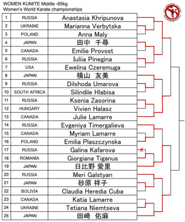 International Karate Friendship 2013