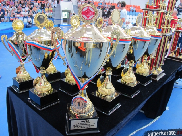 Результаты Кубка России 2013 по каратэ киокушинкай