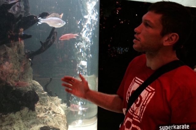 Александр Стецуренко