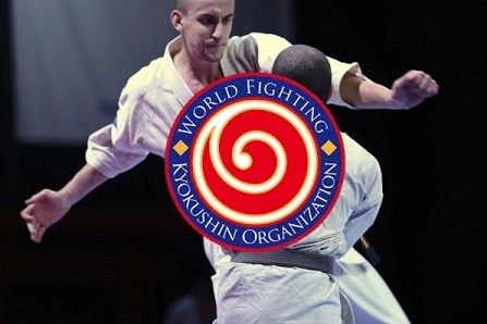 WFKO. Международной бойцовской организации Кёкушин два года!