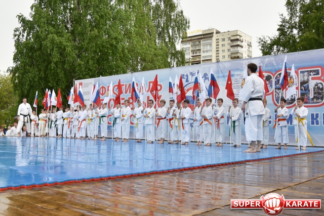 Киокушинкай Пермь