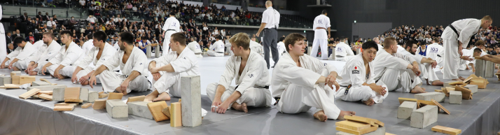 mount Persuasion At dræbe Tameshiwari records at the World Open Karate Championships